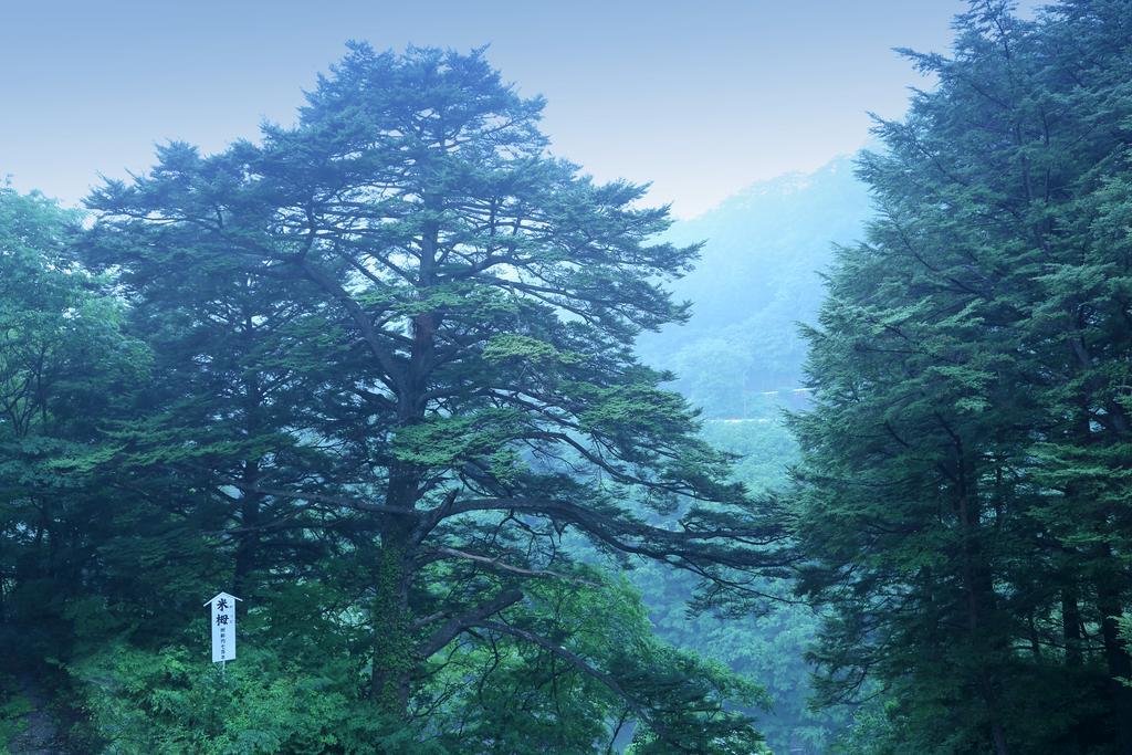 栂の季 旅館 日光市