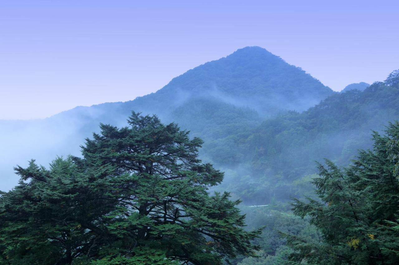 傳統日式旅館 Tsuganoki Nikkō